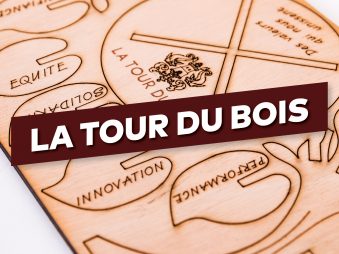 Un arbre, des valeurs